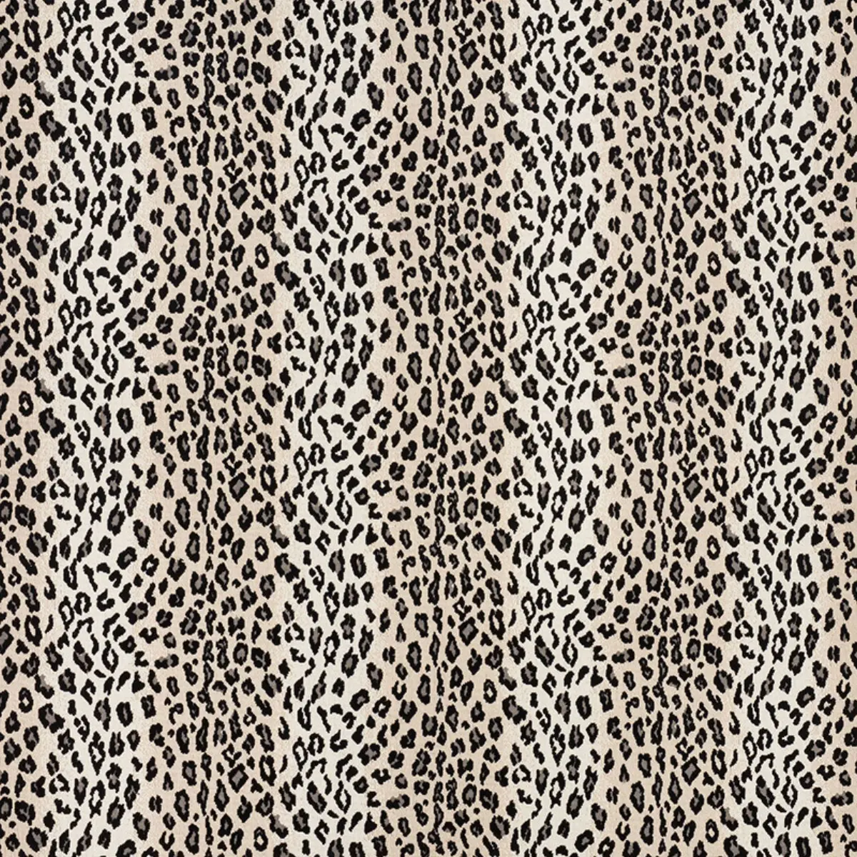 SAFARI ÉPINGLÉ_ SNOW LEOPARD