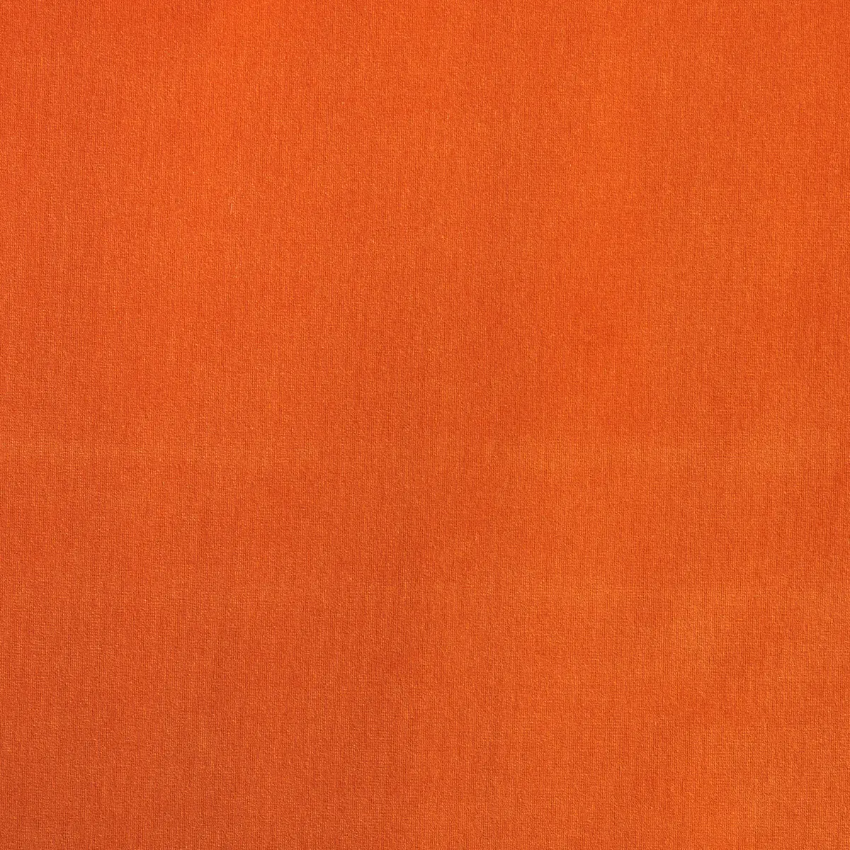 GAINSBOROUGH VELVET_ MANGO