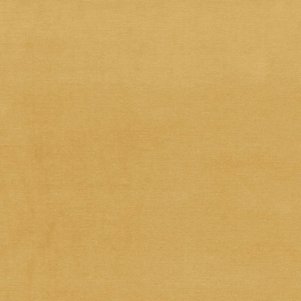 GAINSBOROUGH VELVET_ SESAME