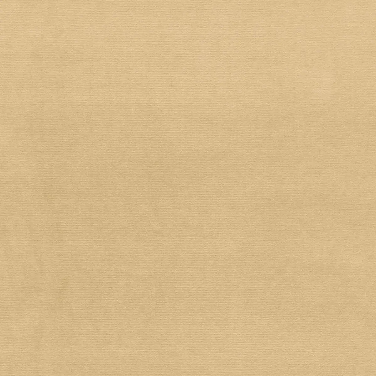 GAINSBOROUGH VELVET_ ECRU