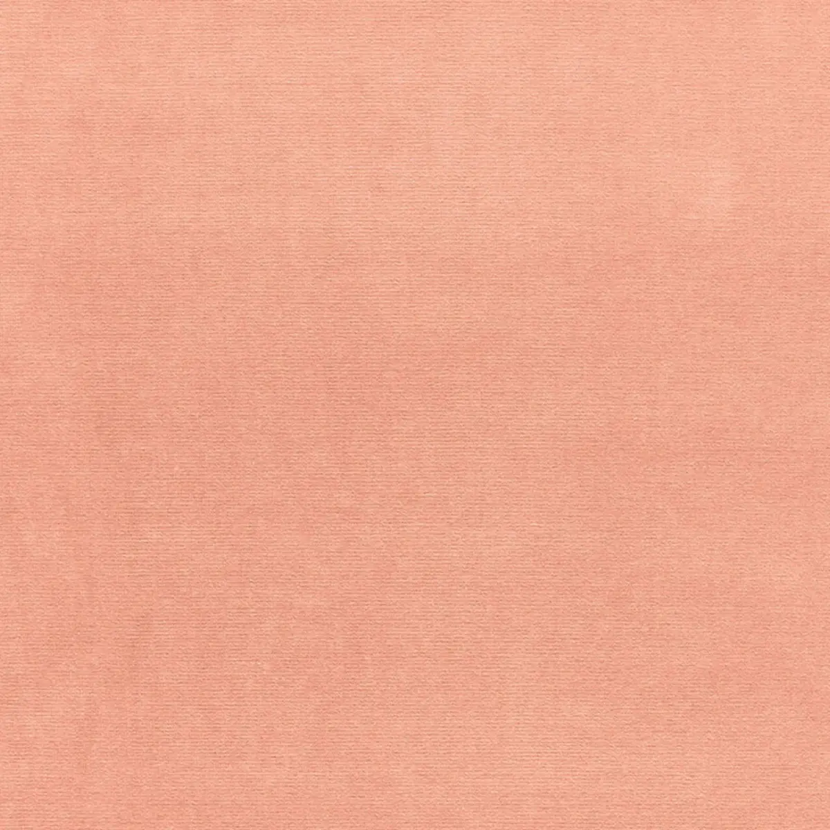 GAINSBOROUGH VELVET_ SHELL