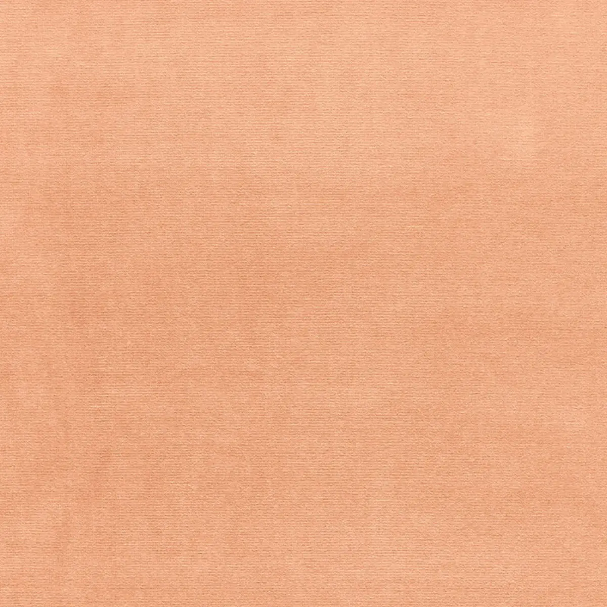 GAINSBOROUGH VELVET_ SALMON