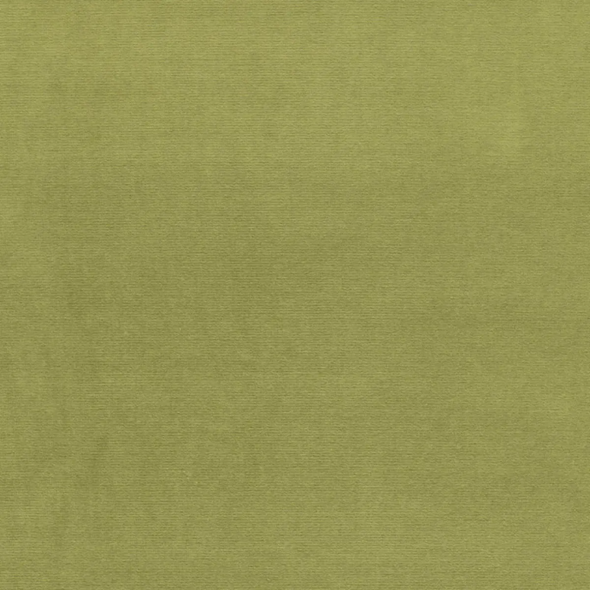 GAINSBOROUGH VELVET_ PALM