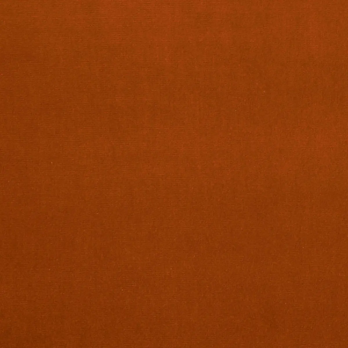 GAINSBOROUGH VELVET_ AUTUMN