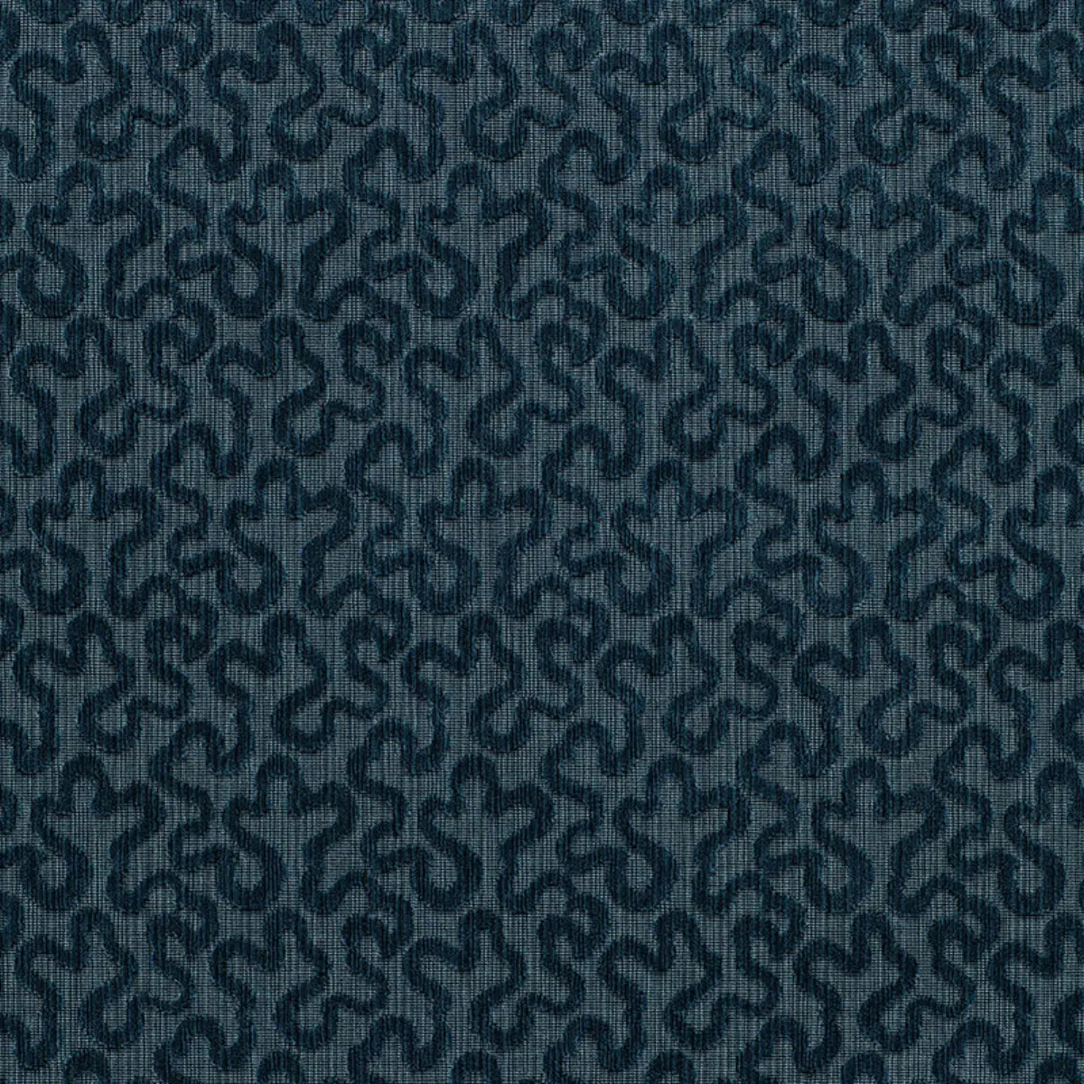 VERMICELLI VELVET_ VENETIAN