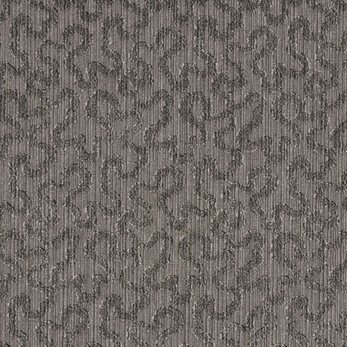 VERMICELLI VELVET_ SMOKE