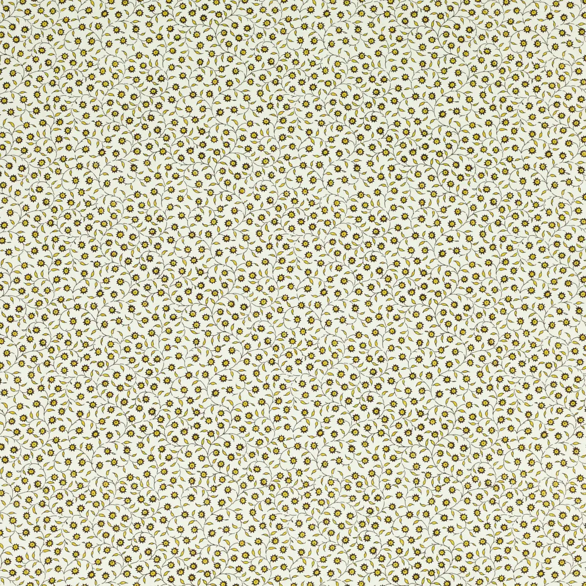 Vita_ SULPHUR