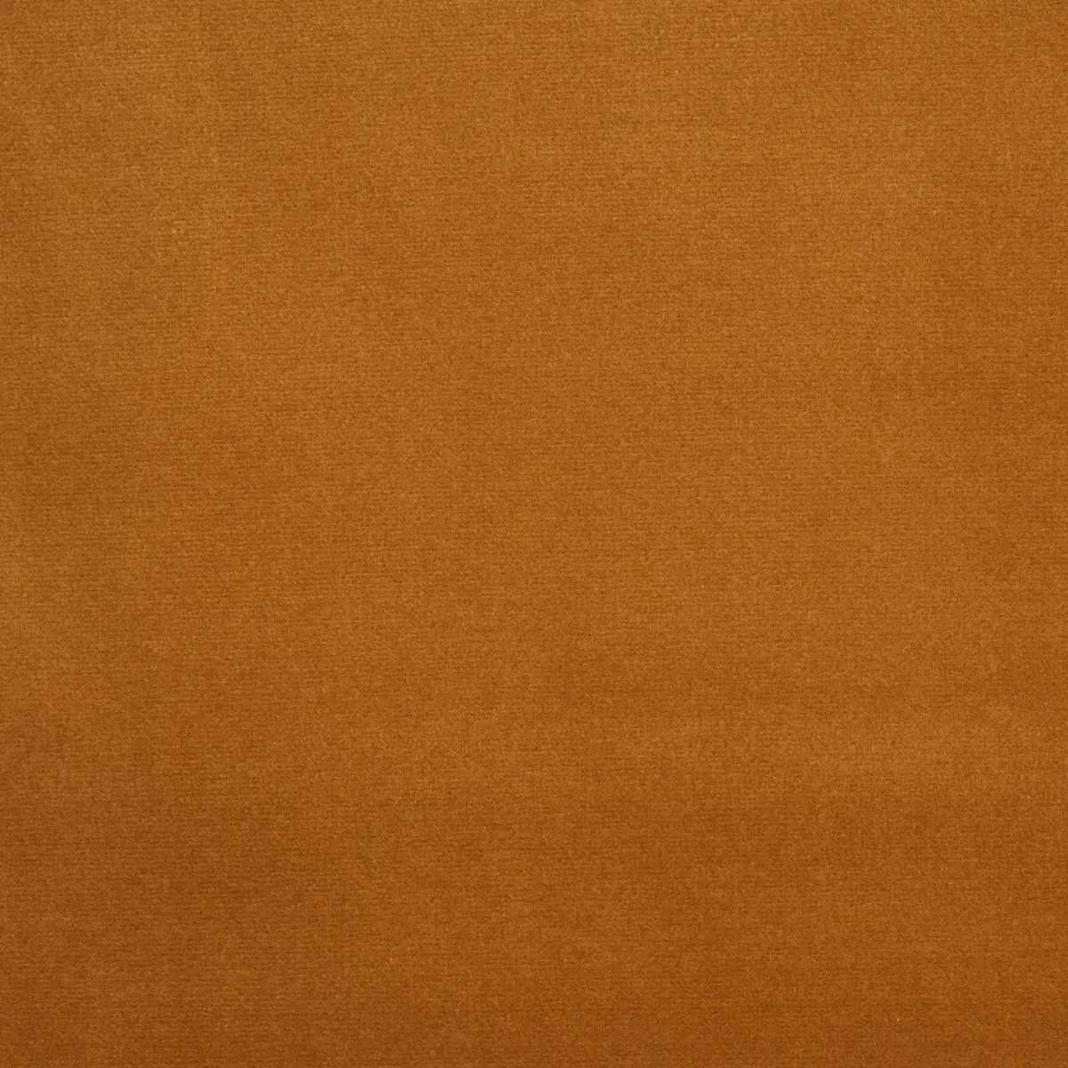 COTTON CLUB VELVET_ STRAW