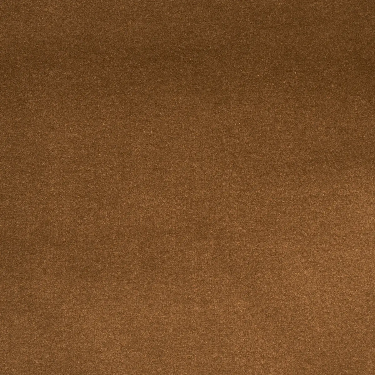 COTTON CLUB VELVET_ MUSHROOM