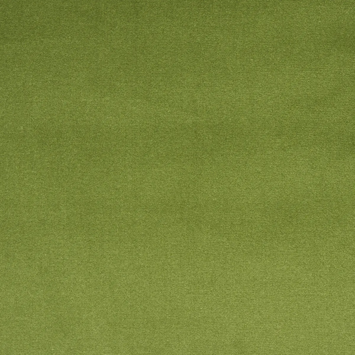 COTTON CLUB VELVET_ SAGE