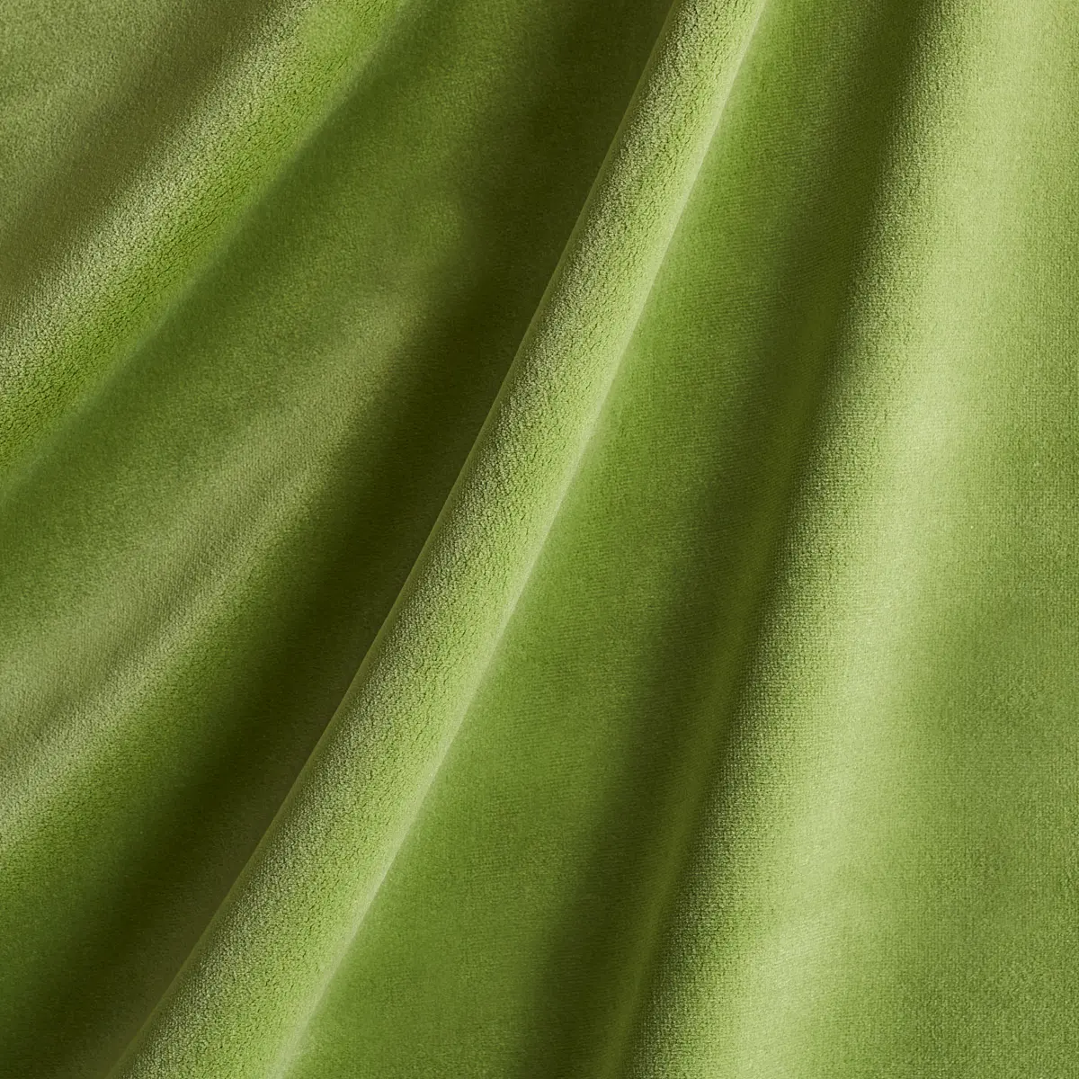 COTTON CLUB VELVET_ SAGE