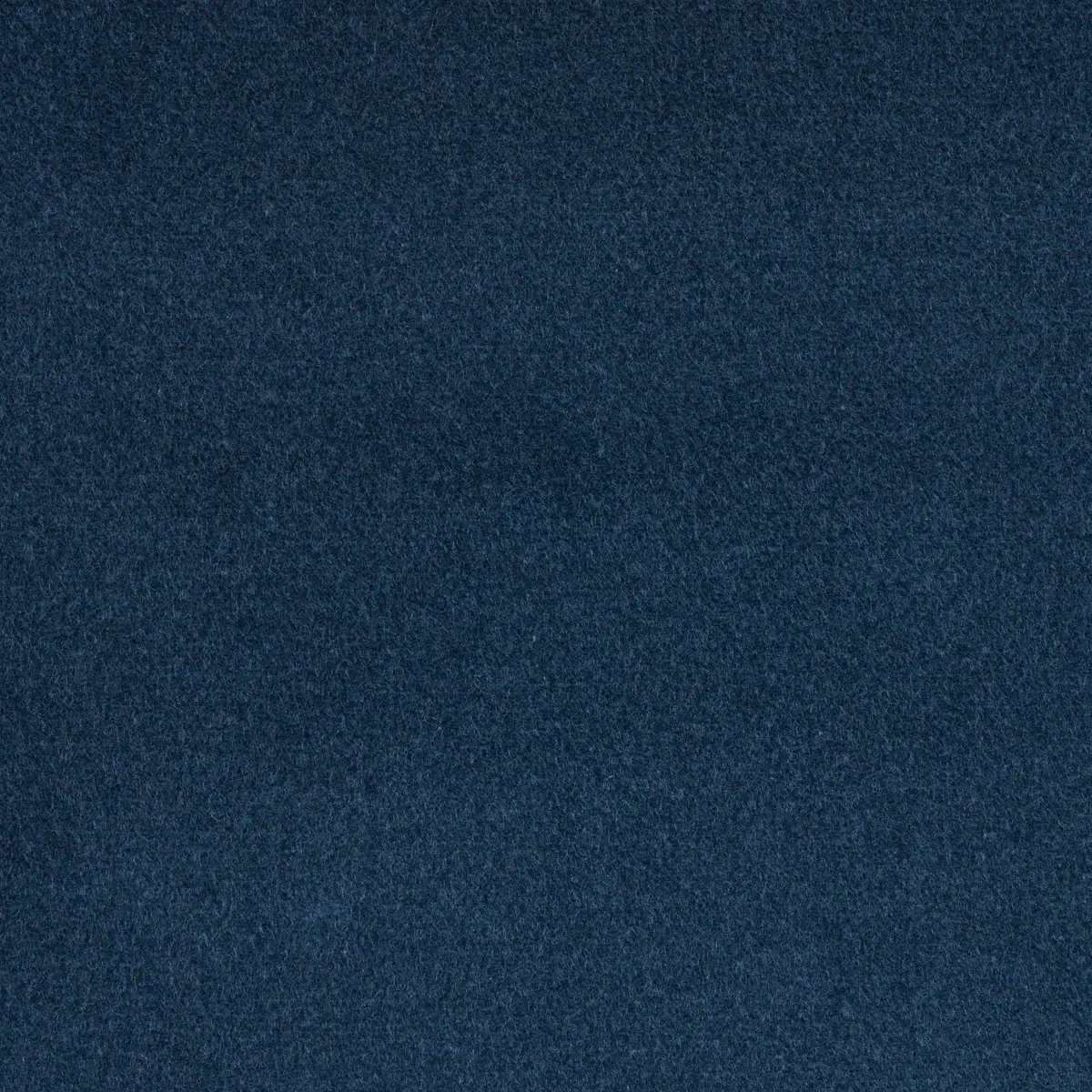 COTTON CLUB VELVET_ MIDNIGHT BLUE