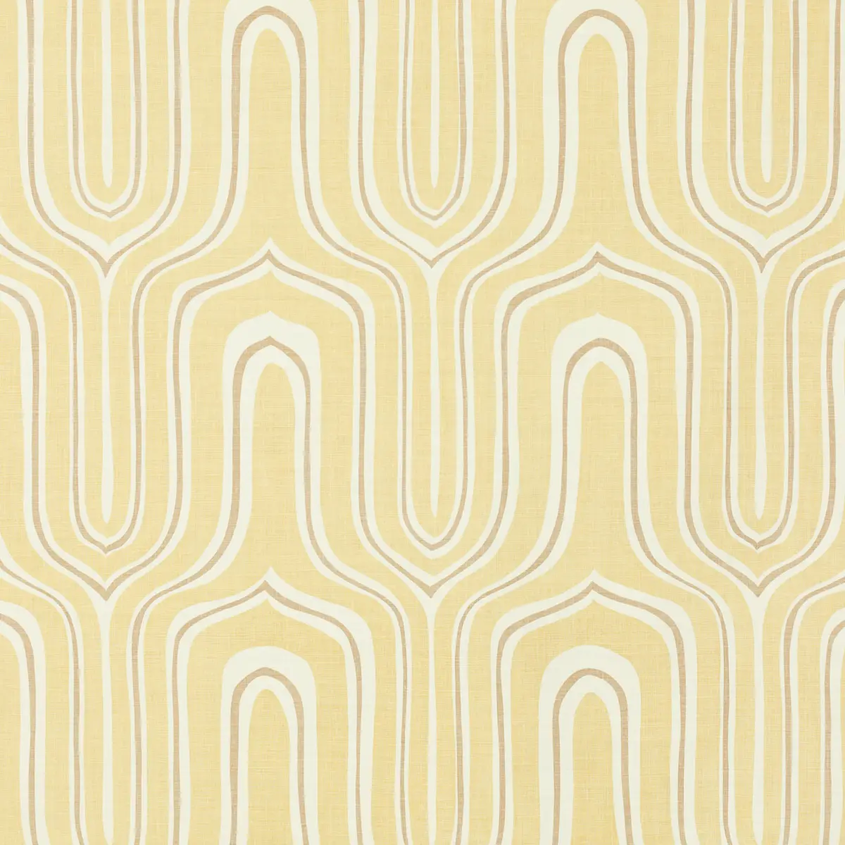 Nigel_ MAIZE
