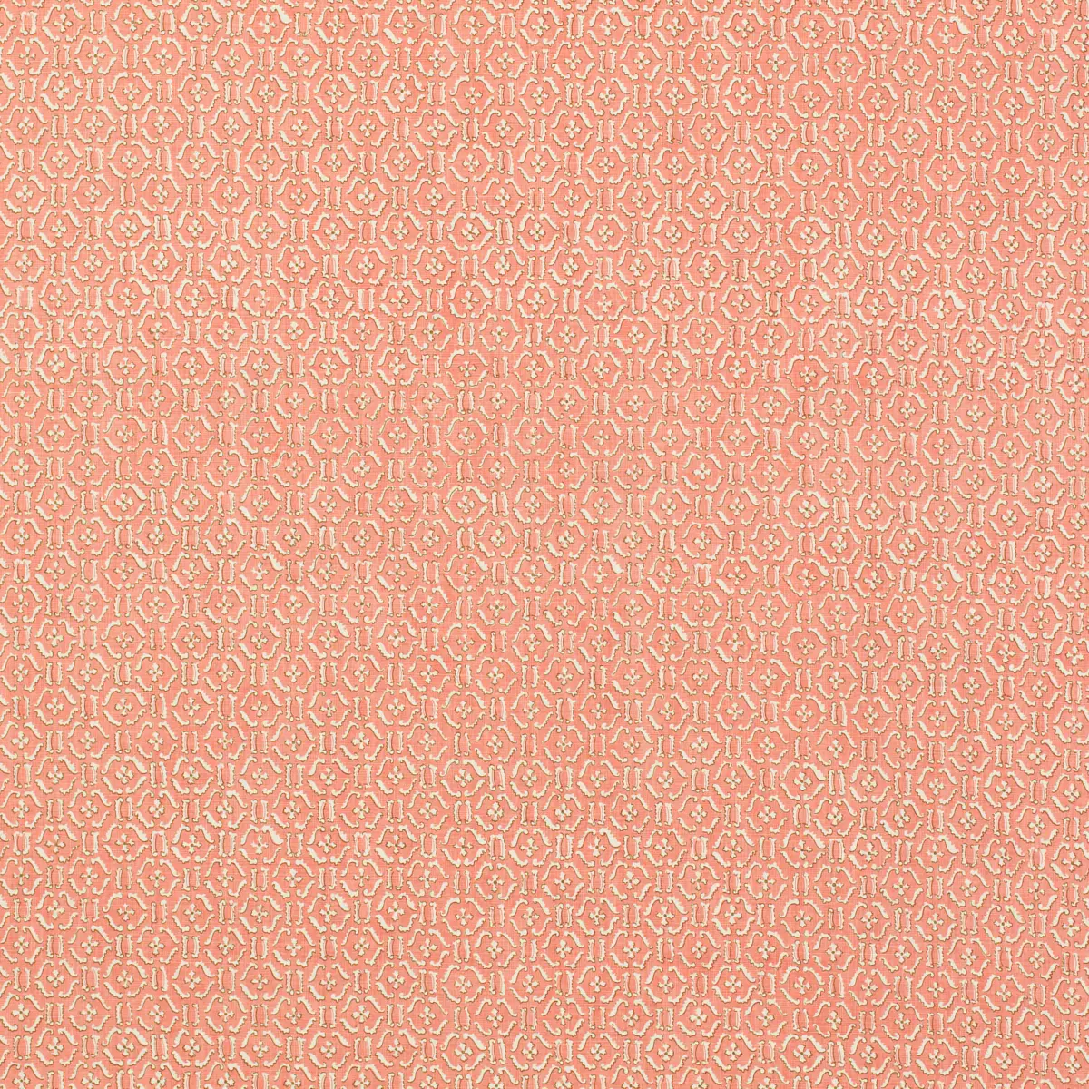 Remy_ CORAL