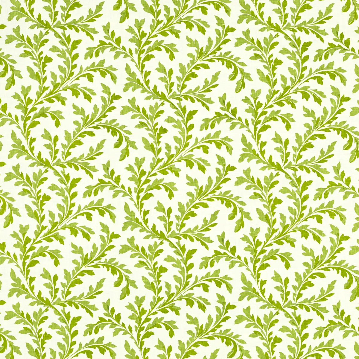 Vera_ LAWN