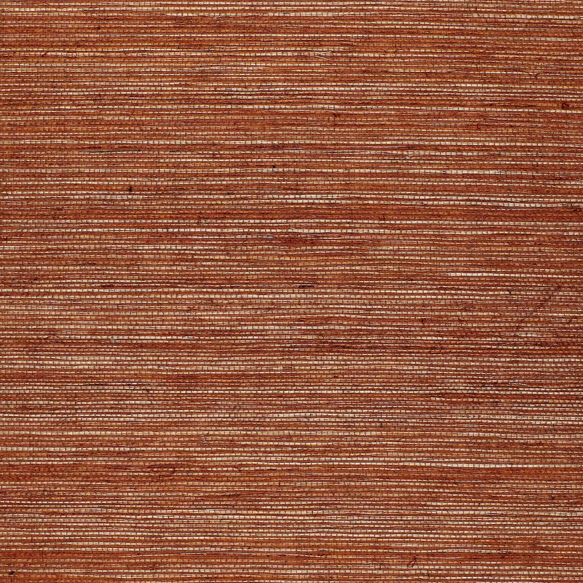 STRIE SISAL_ WOODROSE