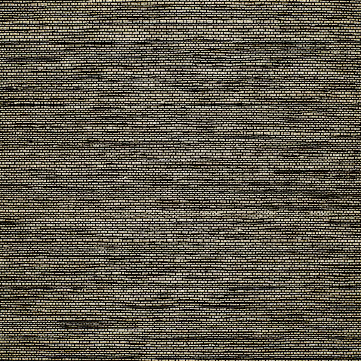 Celebes Sisal_ LICHEN