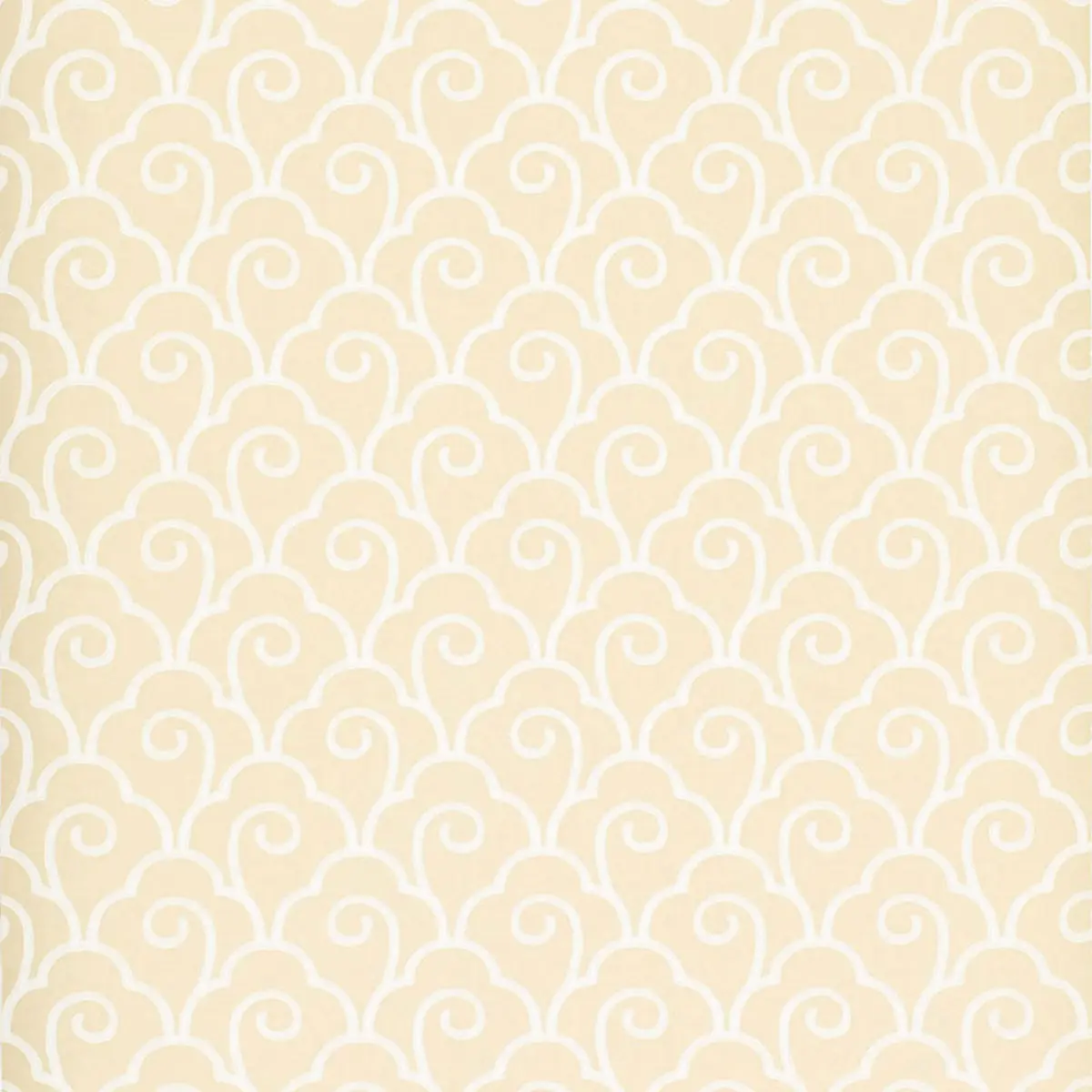 SCALLOP FILIGREE_ CREAM