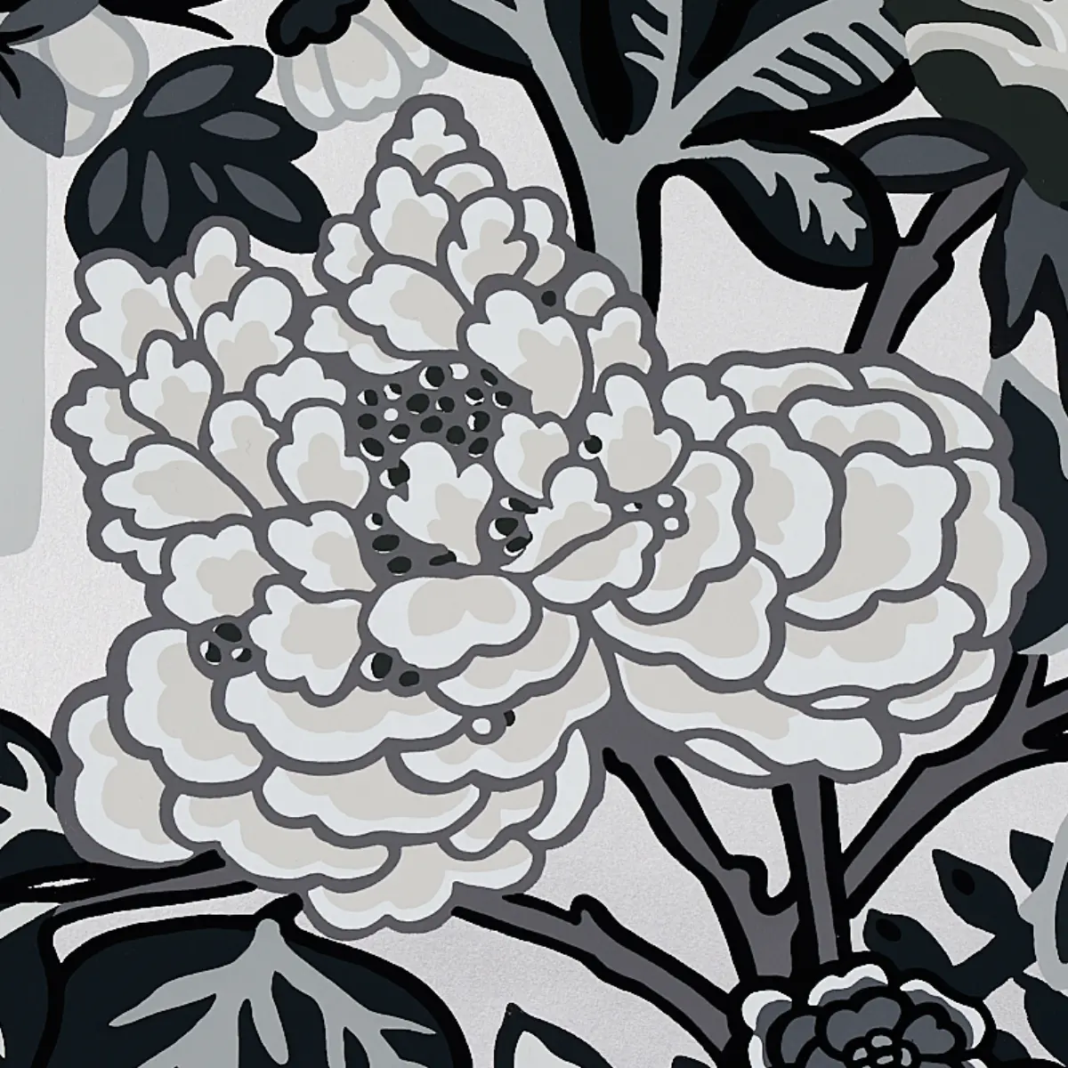 CHIANG MAI DRAGON_ SMOKE