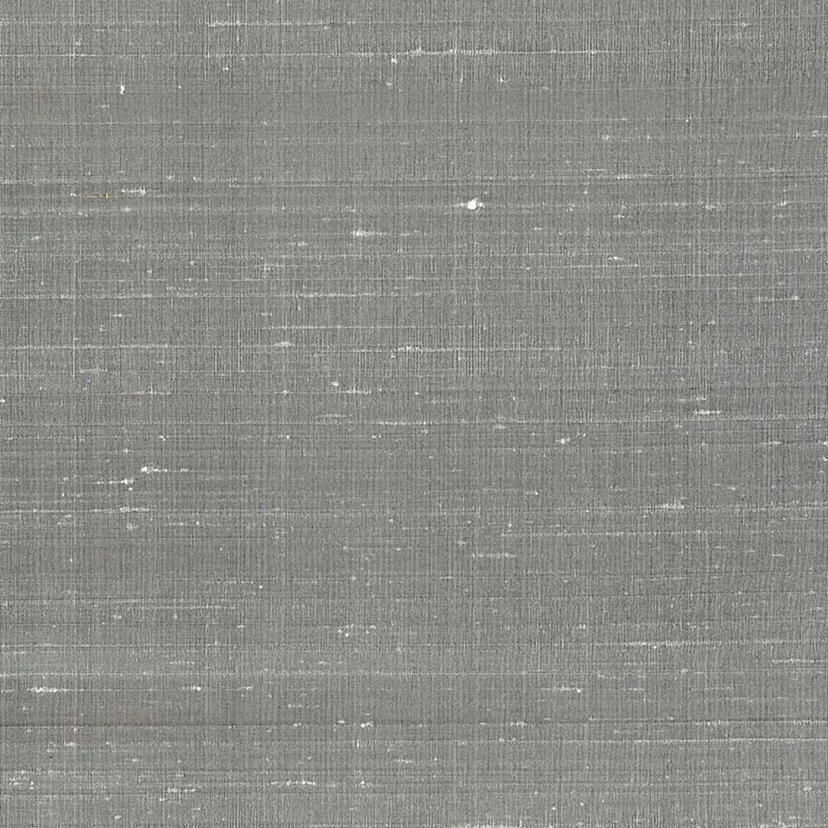 SHIJIN SILK_ SILVER