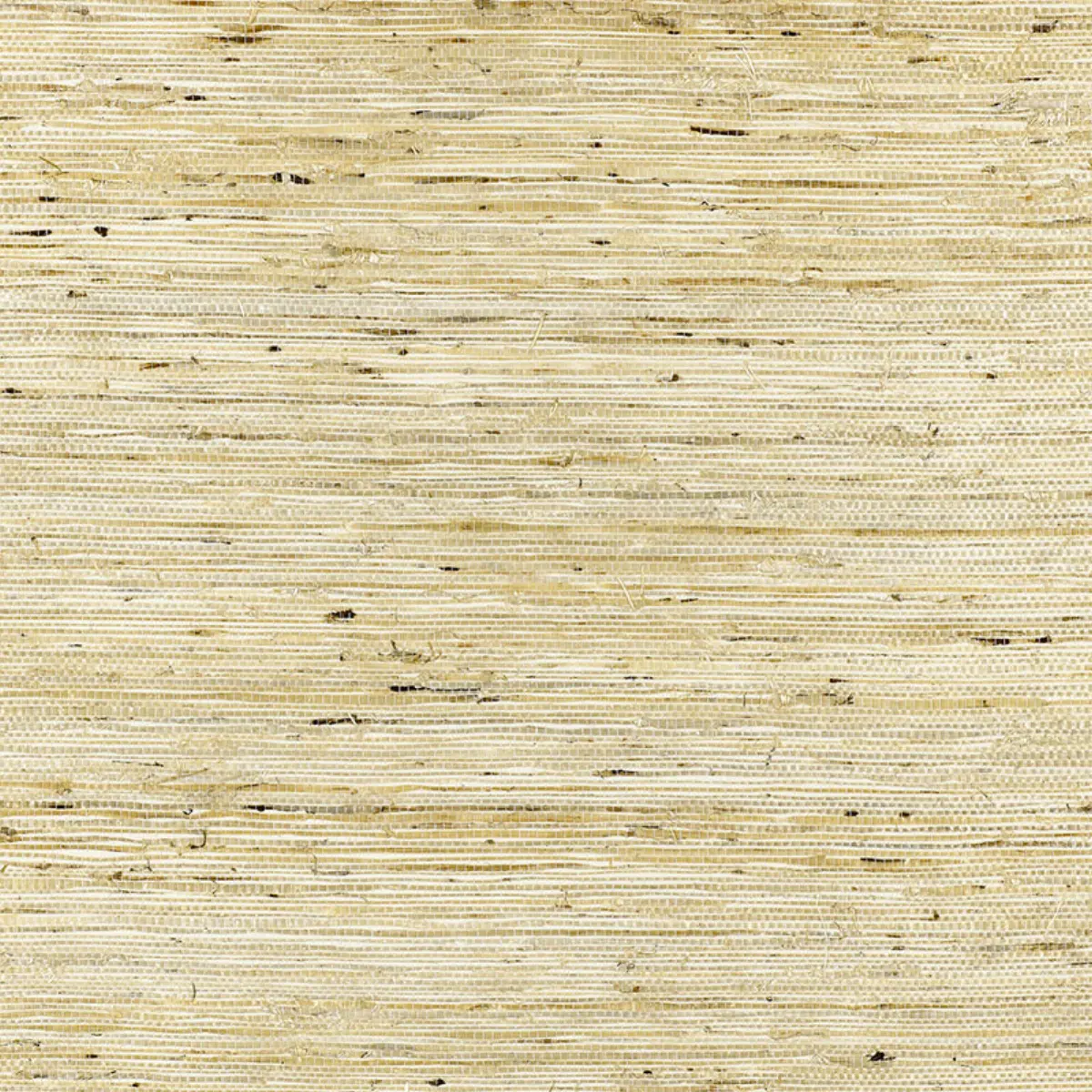 SONOTA ARROWROOT_ OATMEAL