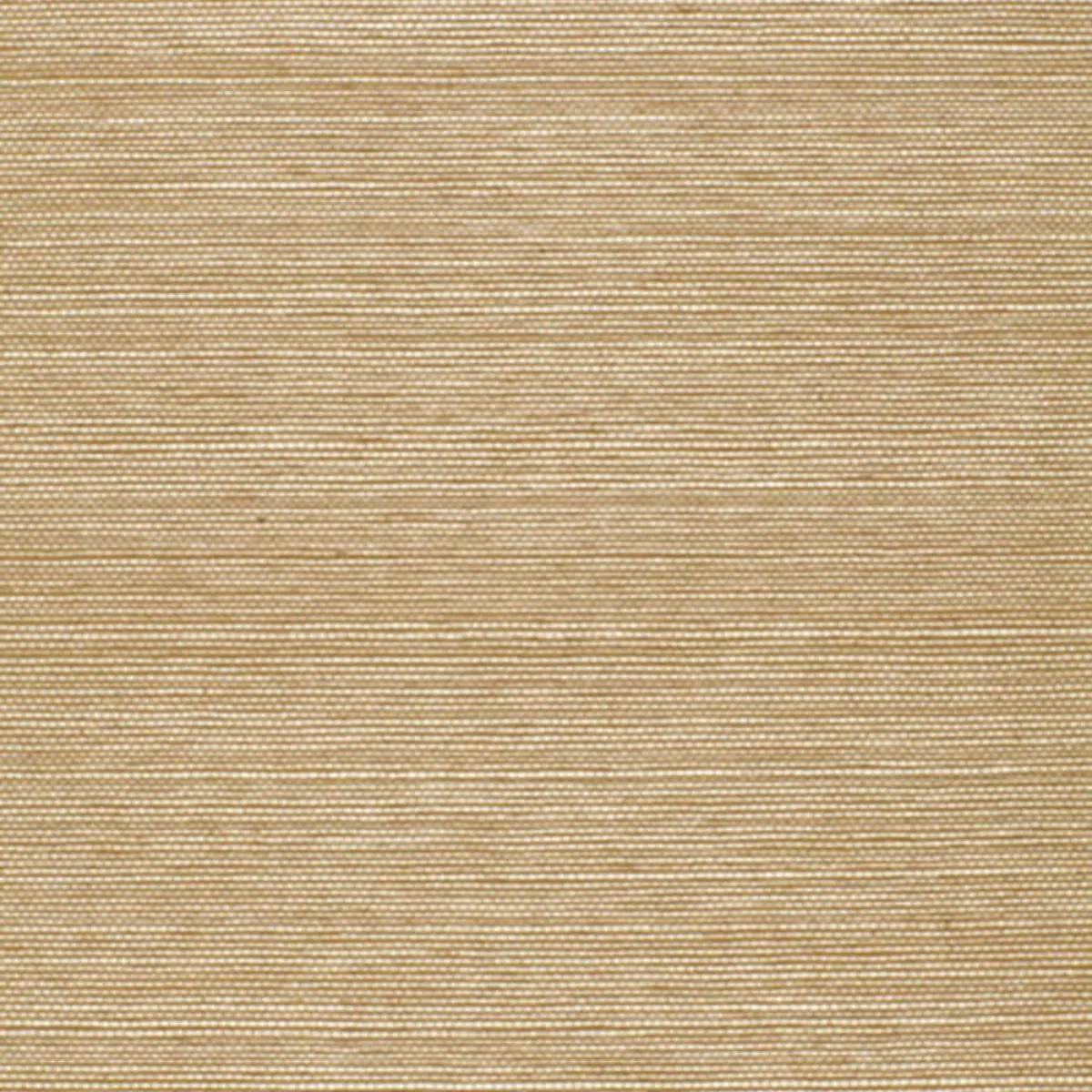 AYAME SISAL_ SAGE
