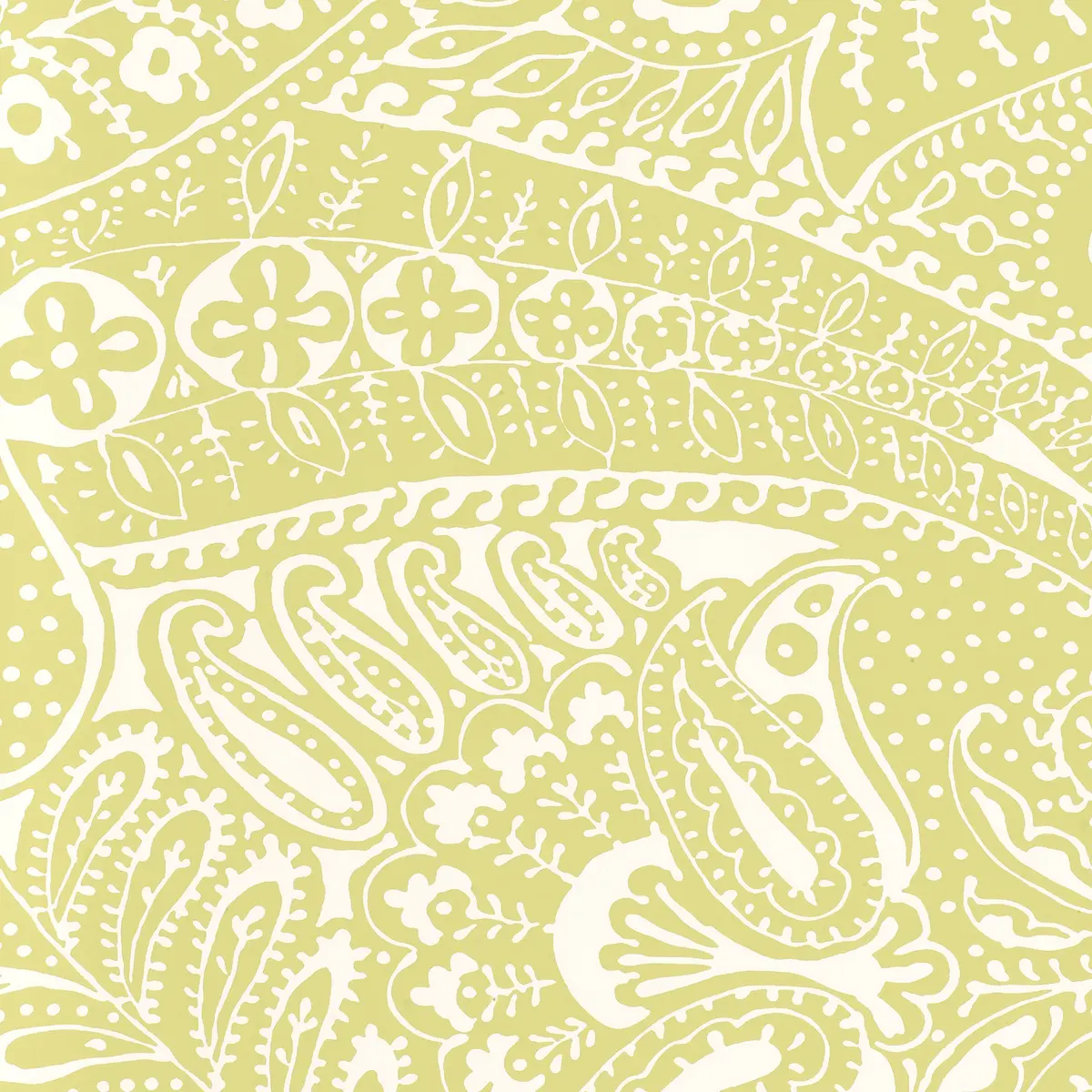 PAISLEY PRINT_ SPRING