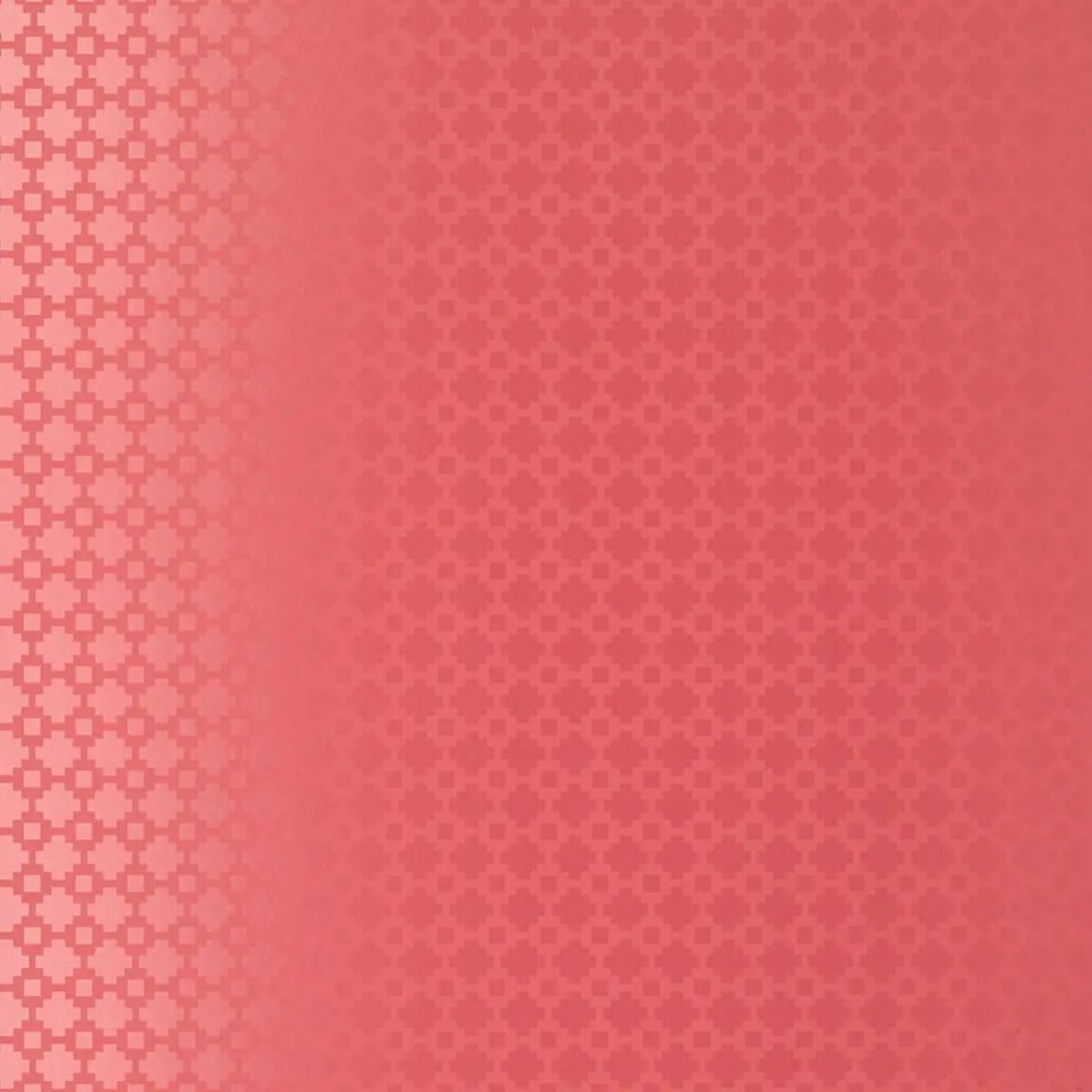 SHAKE IT UP_ RASPBERRY GLOSS