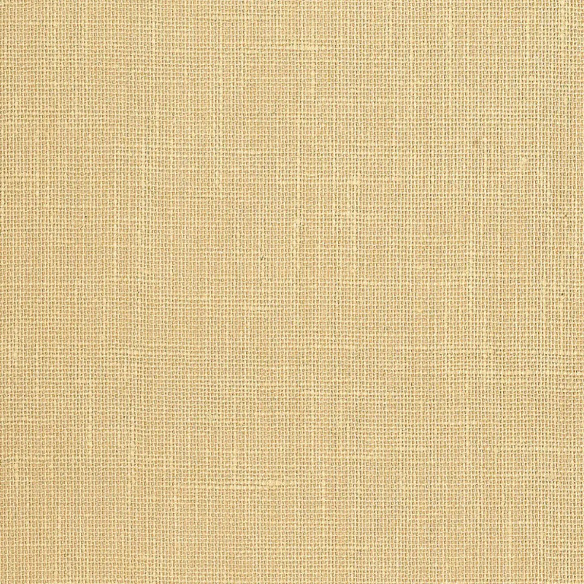 ADHAFERA GROUND_ STRAW