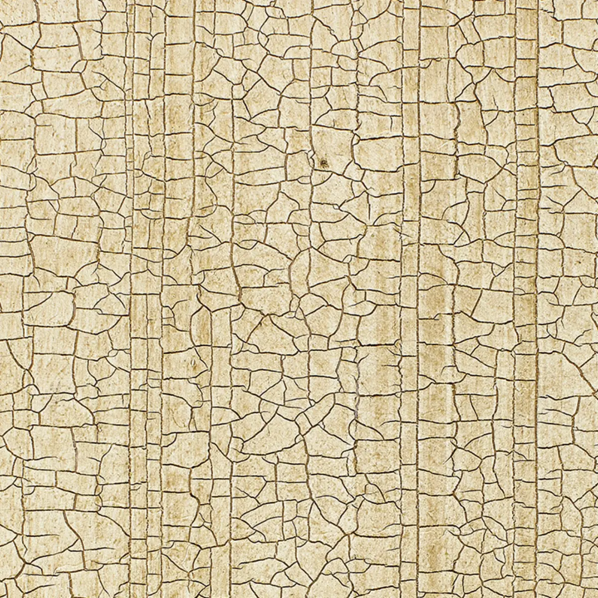 MASACCIO GROUND_ CHAMPAGNE