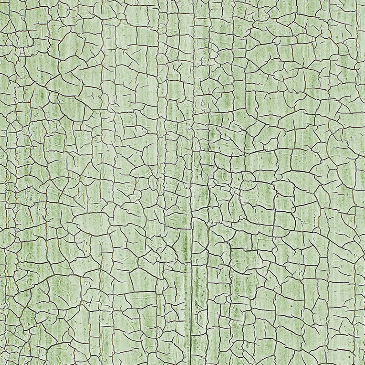 MASACCIO GROUND_ AQUA