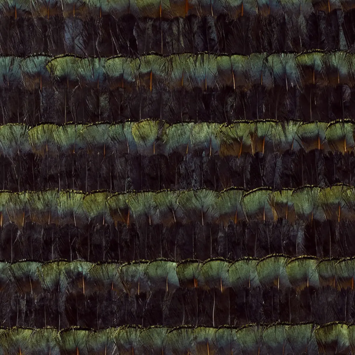 BRADBURY_ MALACHITE