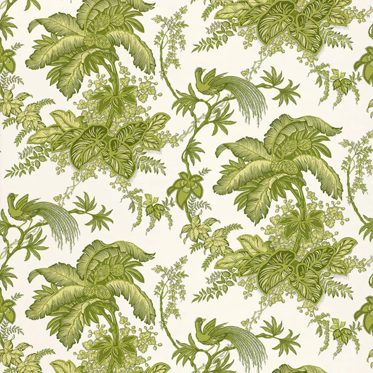 COCONUT GROVE_ LEAF