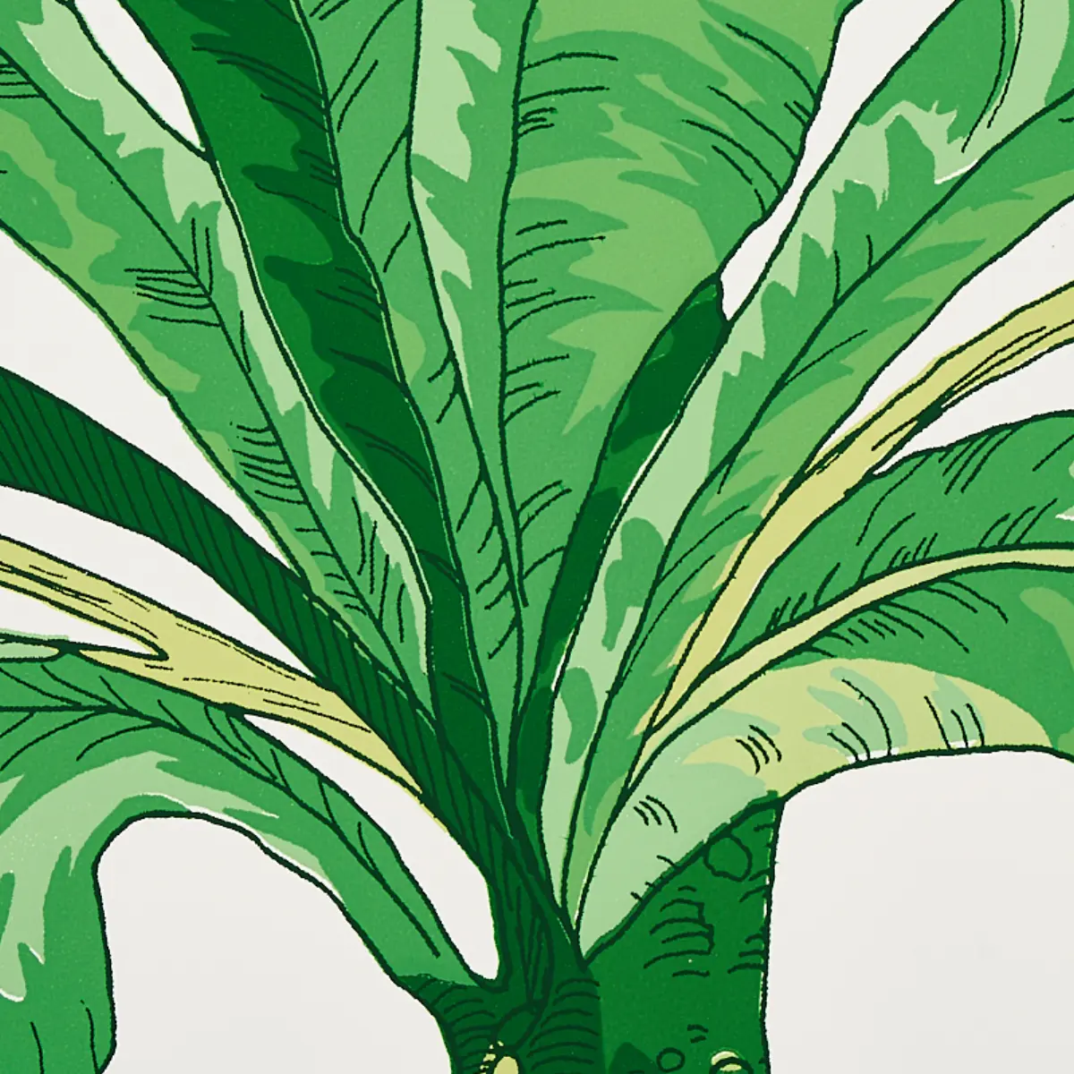 BLAIR HOUSE PALM_ GREEN
