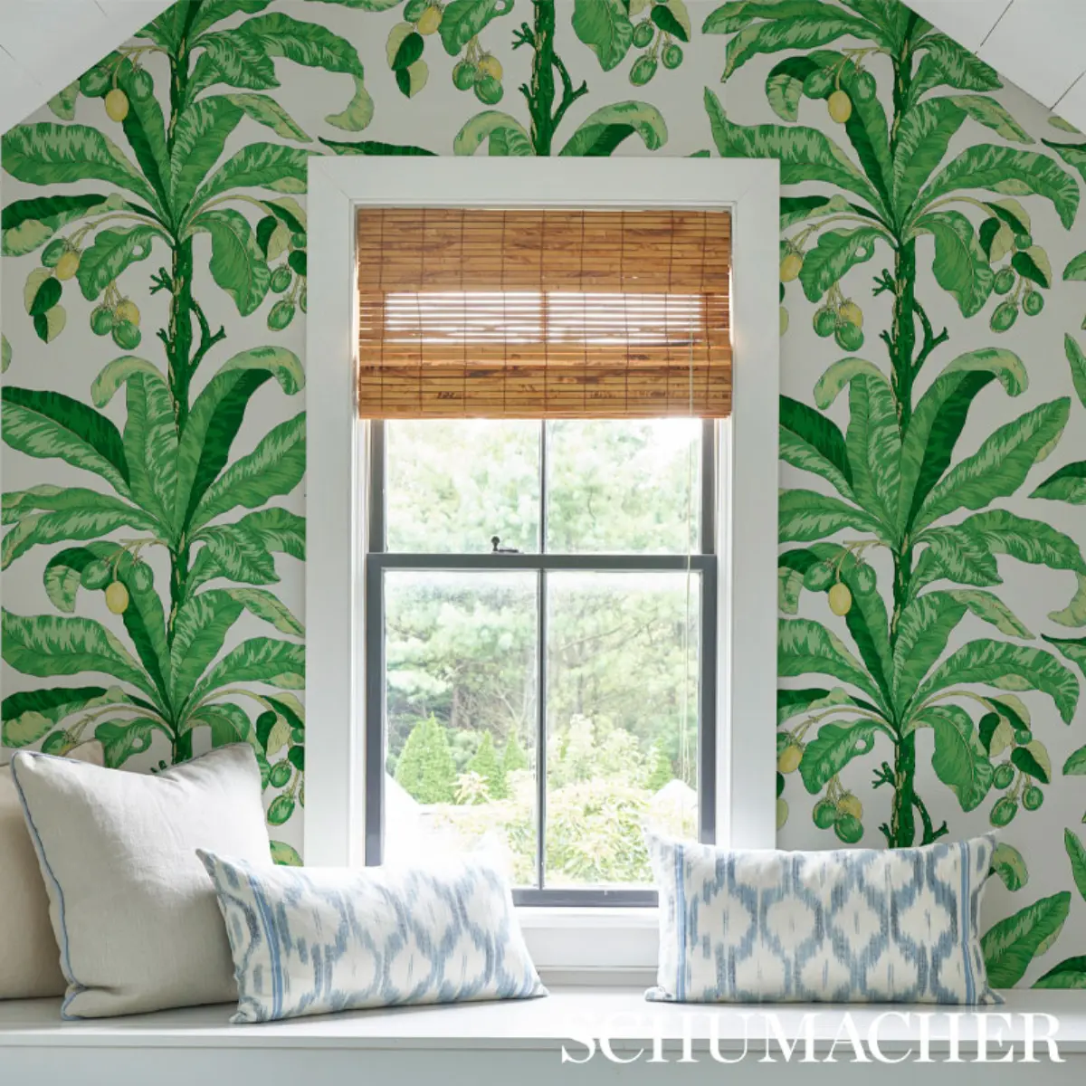 BLAIR HOUSE PALM_ GREEN