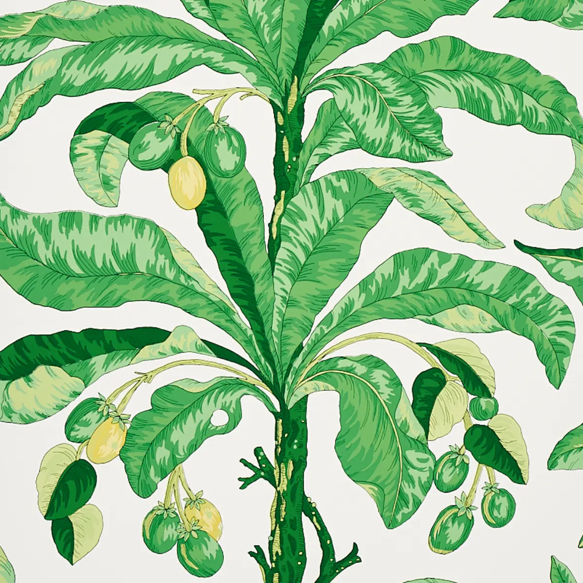 BLAIR HOUSE PALM_ GREEN