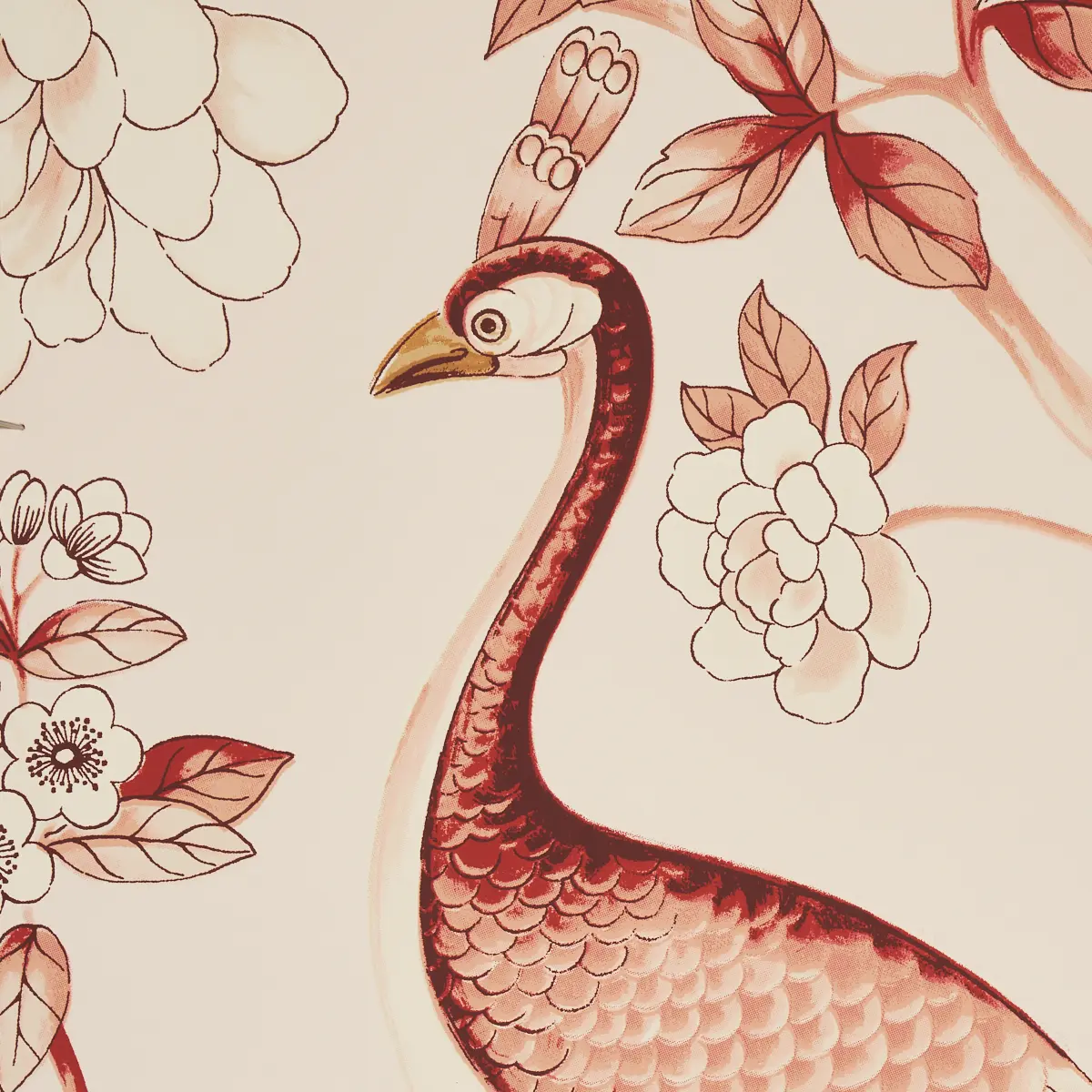 Oiseaux Et Fleurs_ CINNABAR