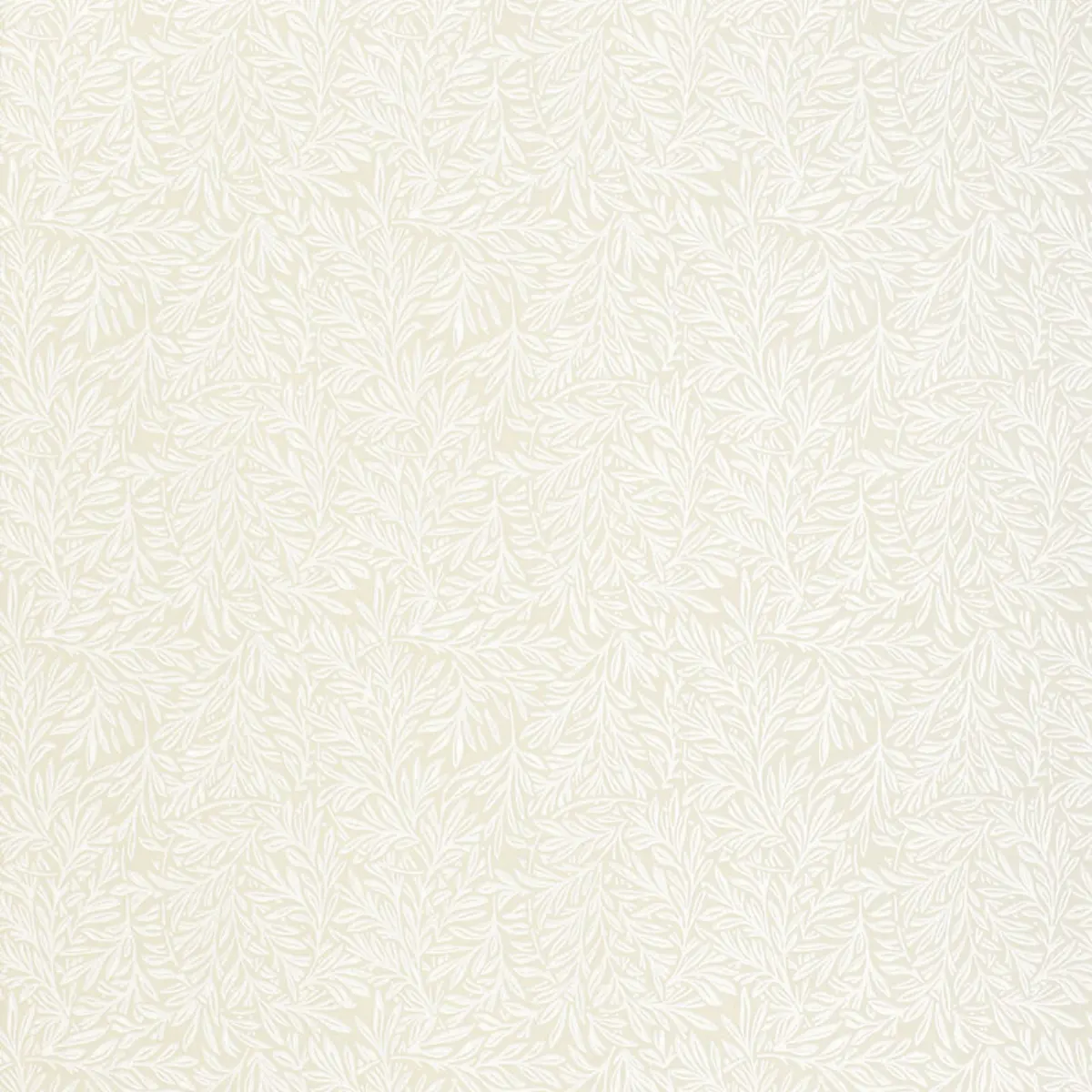 WILLOW LEAF_ FLAX