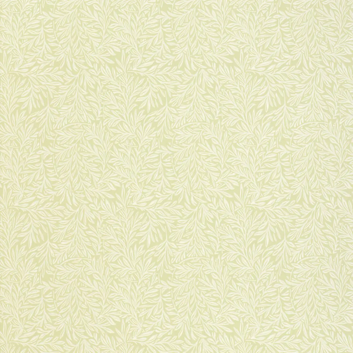 WILLOW LEAF_ SAGE