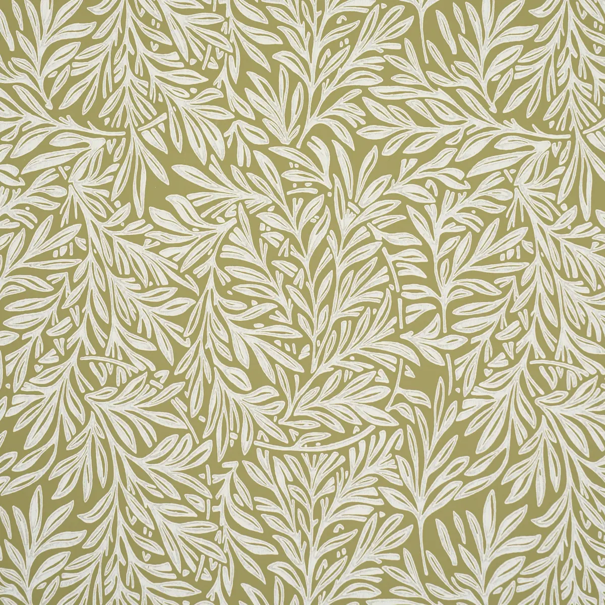 WILLOW LEAF_ MOSS