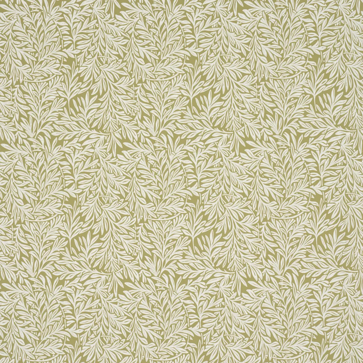 WILLOW LEAF_ MOSS