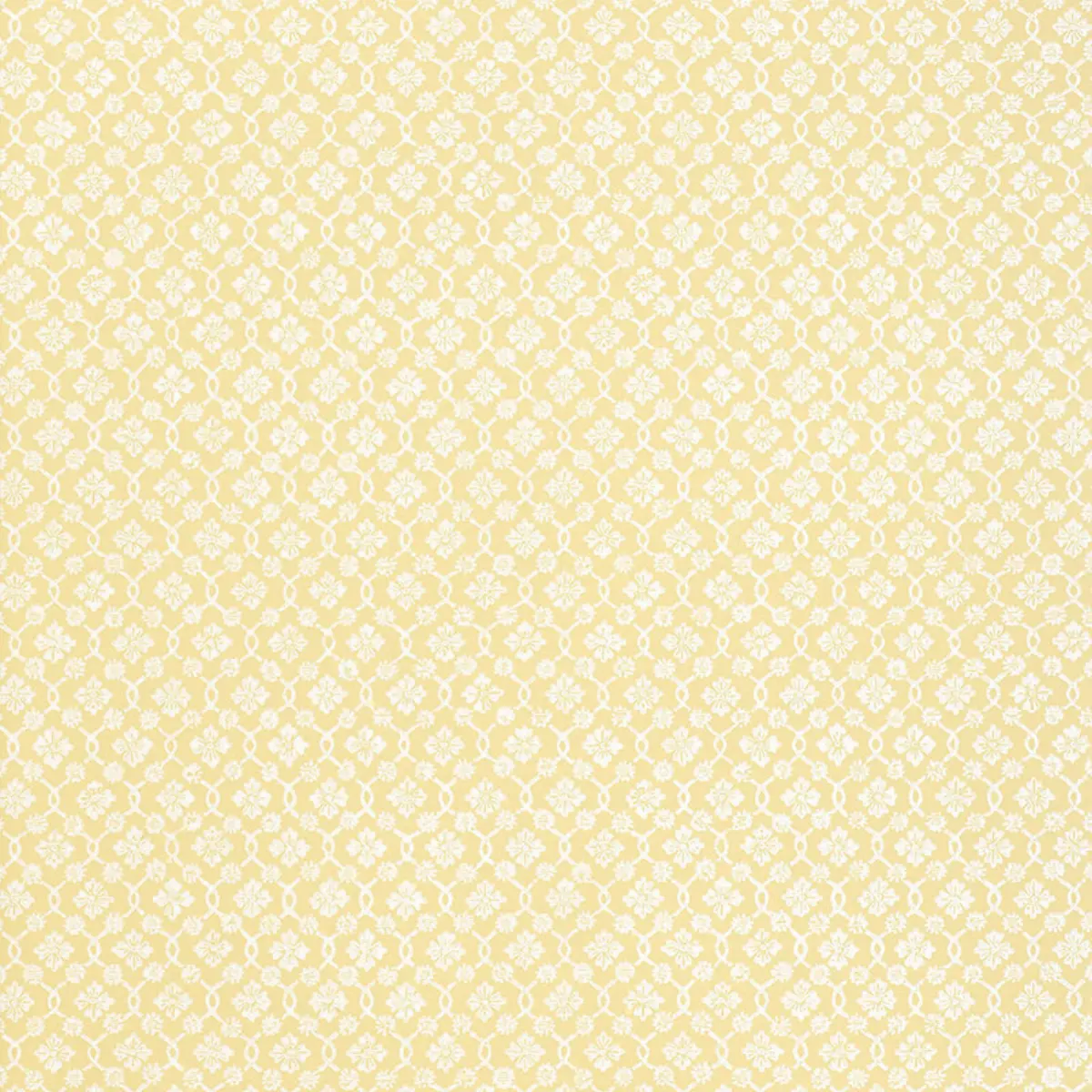 HARBURY TRELLIS_ BUTTERCUP