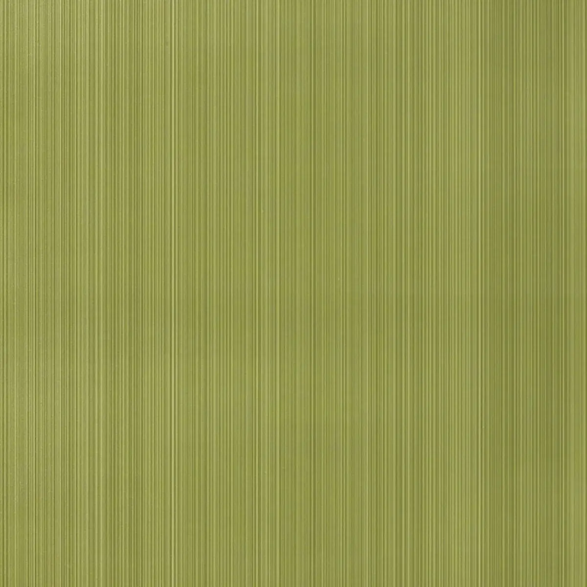 SOMERSET STRIE_ FOREST