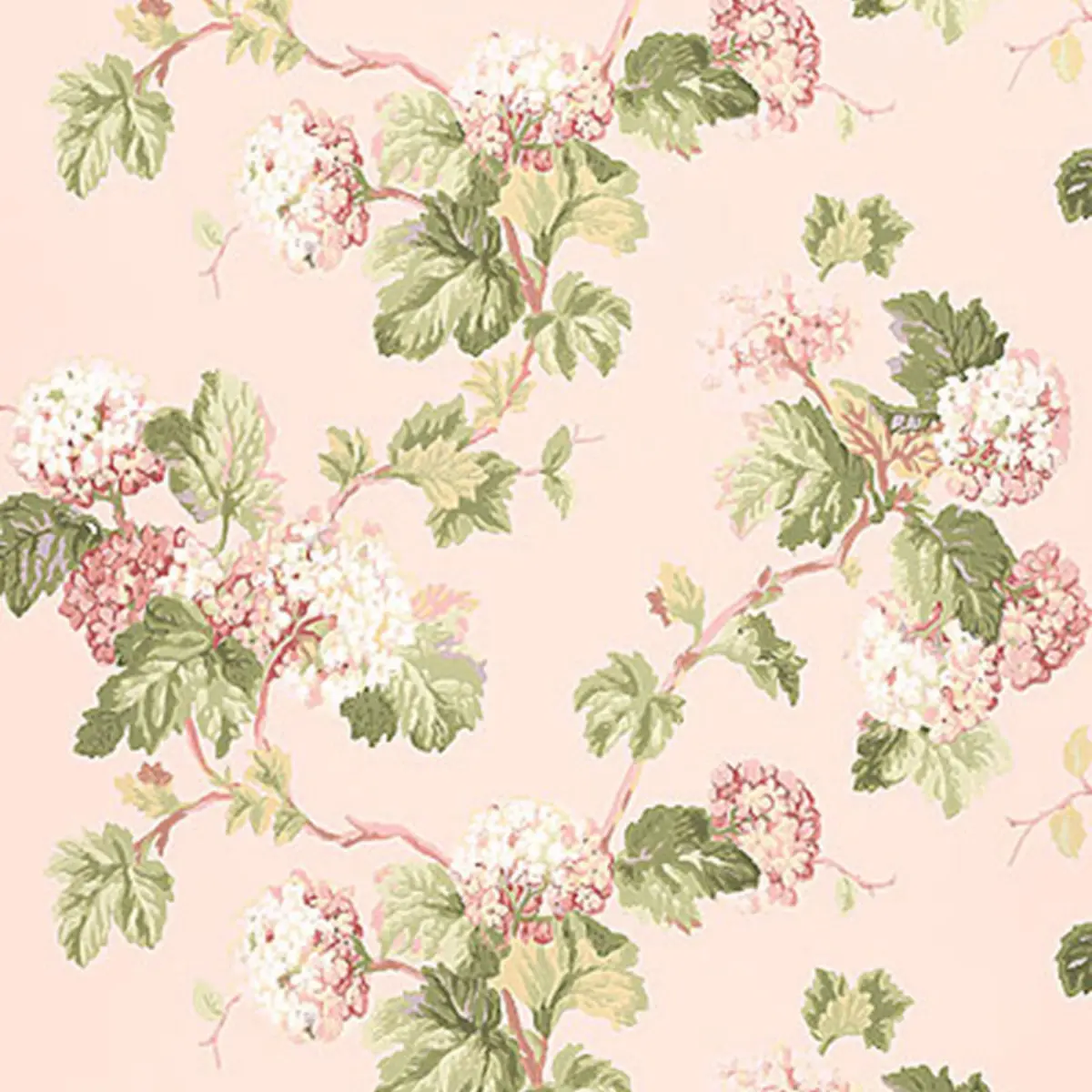 VIBURNUM_ BLUSH
