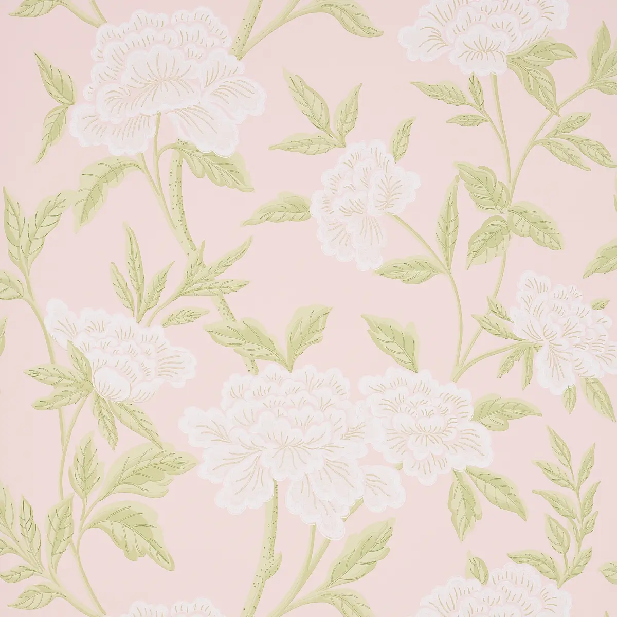 WHITNEY FLORAL_ BLUSH