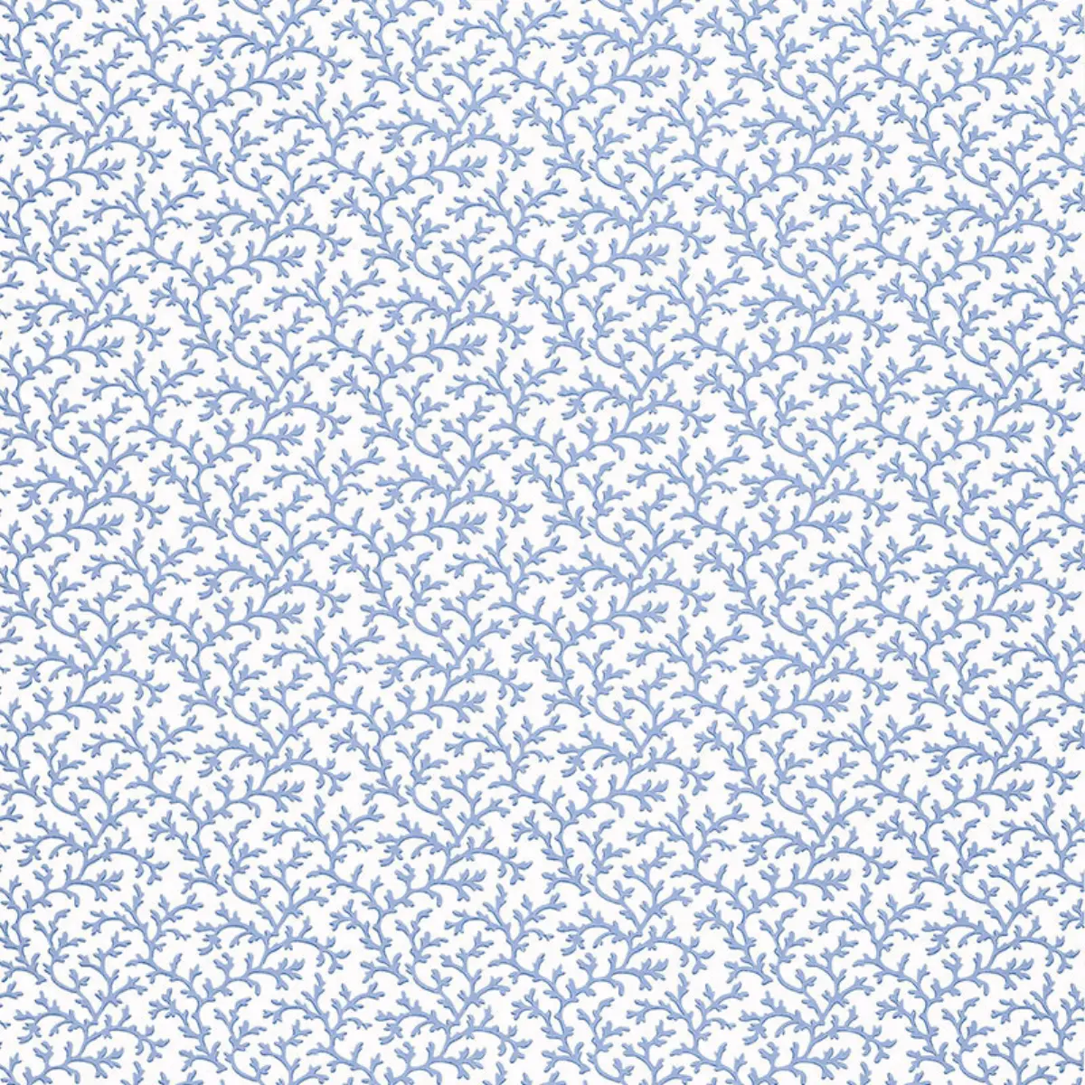 CORAL VINE_ OCEAN