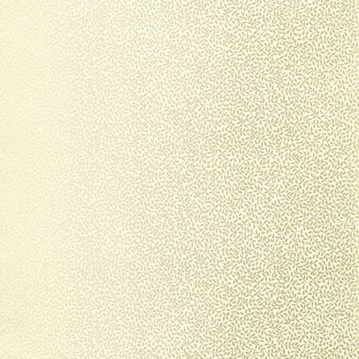 CELANO VINE_ MINERAL