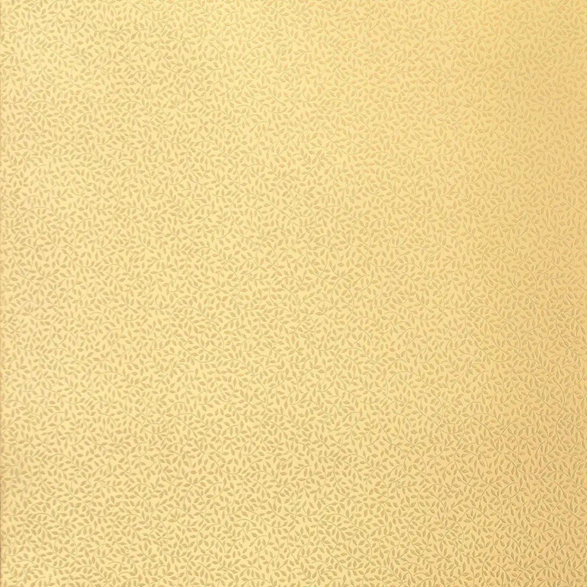 CELANO VINE_ LIGHT GOLD