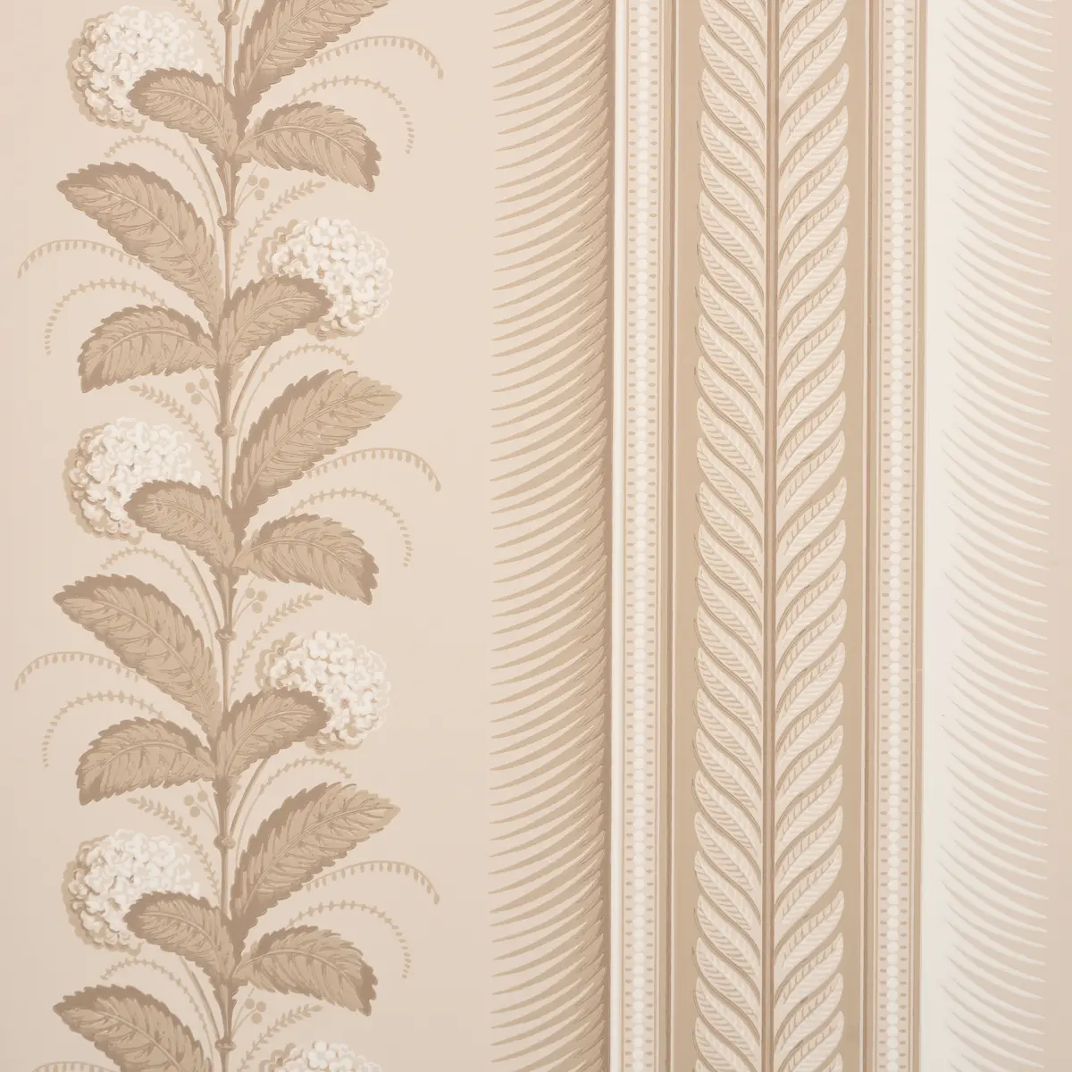 HYDRANGEA DRAPE_ FAWN