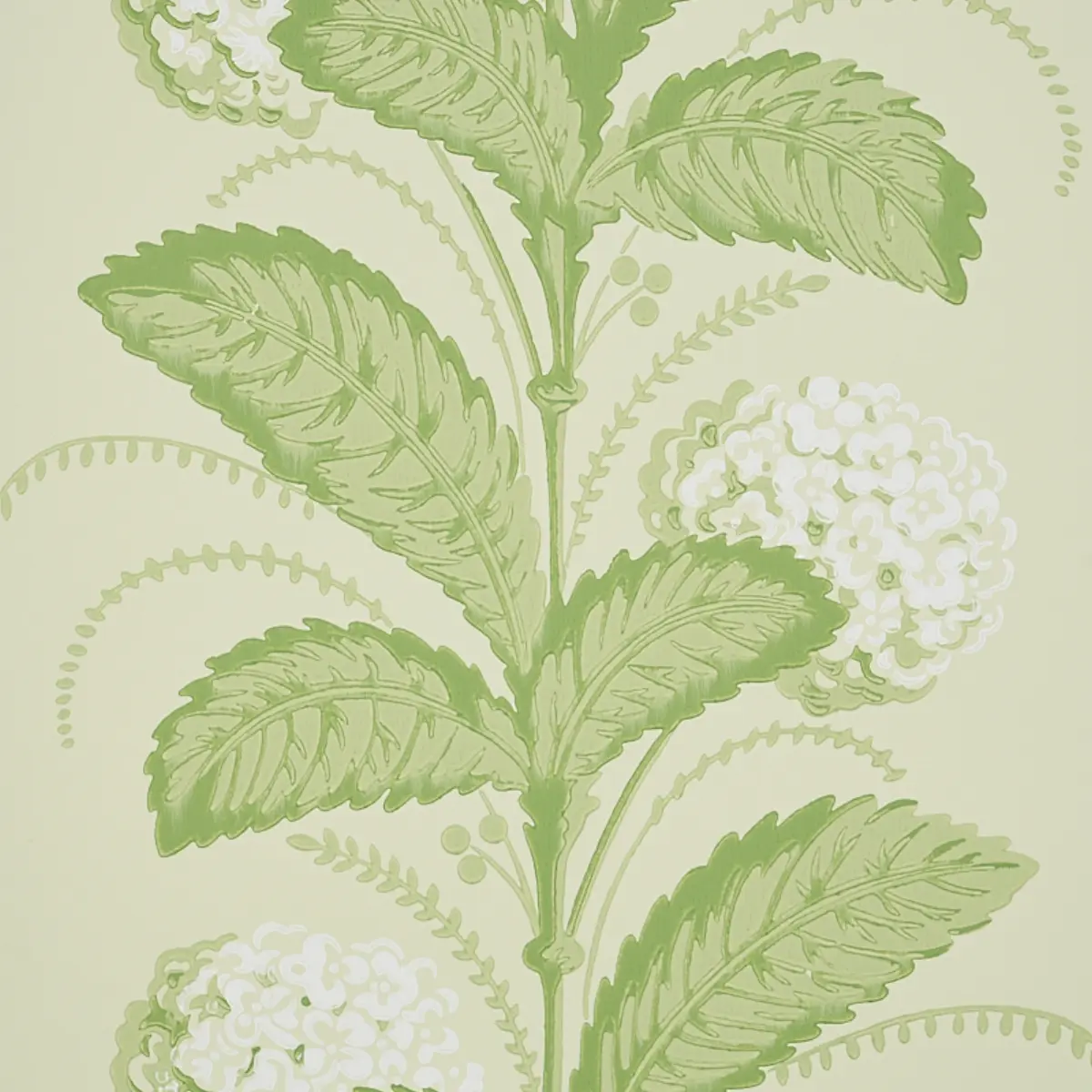 HYDRANGEA DRAPE_ GREEN